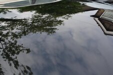 IMG_8948.jpg