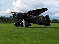 20140524_lysander.jpg