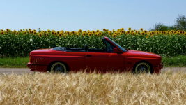 IMG_1645.PNG IMG_1645.PNG