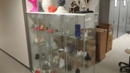 IMG_20171012_071901.jpg