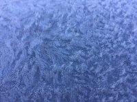 E2FDDCB6-2895-4B78-9471-FD3168977AD1.jpeg