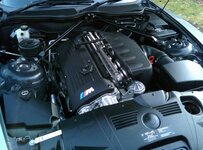 ezy6esuv.jpg