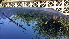 20140709_135829_zpse8d1ce42.jpg 20140709_135829_zpse8d1ce42.jpg