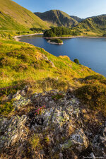 14617079101_ab64dfff9a_b.jpg
