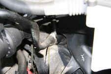 IMG_0125Medium.jpg