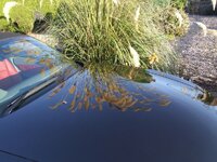 z4tourofthehighlands002.jpg