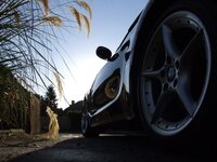 z4tourofthehighlands011.jpg