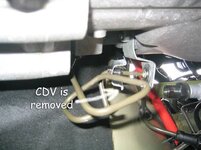 CDV4.jpg