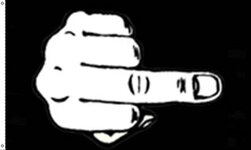 Flag-the-finger.jpg