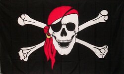 F25-bandana.jpg
