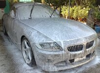 z42.jpg