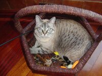 DSC03392-1.jpg