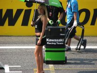 IMG_0442.jpg