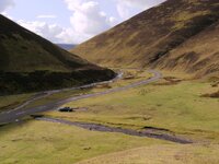 roostersleadhills007-1.jpg roostersleadhills007-1.jpg