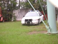 DSC00229.jpg