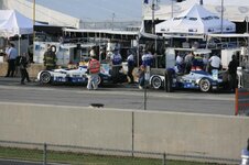 IMG_1903.jpg