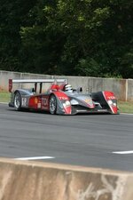 IMG_2331.jpg