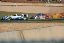 IMG_2467.jpg