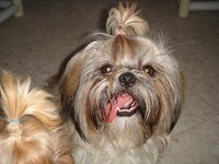 Picture001.jpg