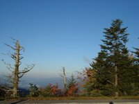 DSC00298.jpg DSC00298.jpg