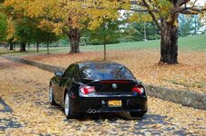 DSC_0012a.jpg