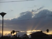dsc03399750x563.jpg