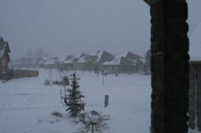 2088074950_fd6738c707_o.jpg