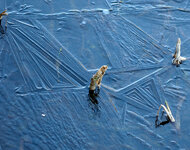 SilverLakeIcePatterns.jpg SilverLakeIcePatterns.jpg