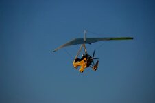 DSC_0267.jpg