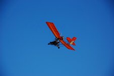 DSC_0227.jpg