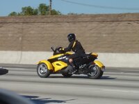 DSC03846750x563.jpg