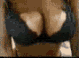 shake.gif