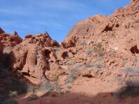 DSC03916.jpg