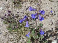 DSC04157.jpg