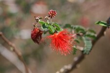 IMG_1711.jpg