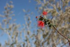 IMG_4296.jpg