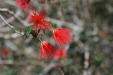 IMG_4295.jpg
