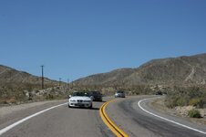 IMG_4256.jpg