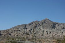 IMG_4336.jpg