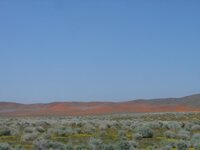 DSC04237.jpg