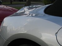 Z4PolishStella021.jpg