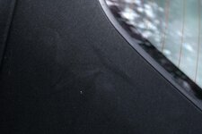 IMG_2468.jpg