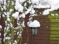 Snow06042008140.jpg Snow06042008140.jpg