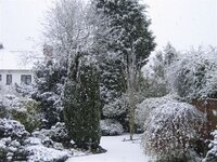 Snow06042008077.jpg Snow06042008077.jpg