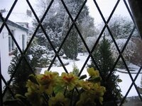 Snow06042008060.jpg Snow06042008060.jpg