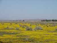 DSC04223.jpg