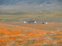 DSC01071.jpg