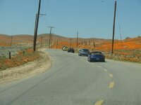 DSC01045.jpg