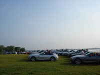 z421.jpg