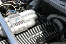 IMG_4923.jpg